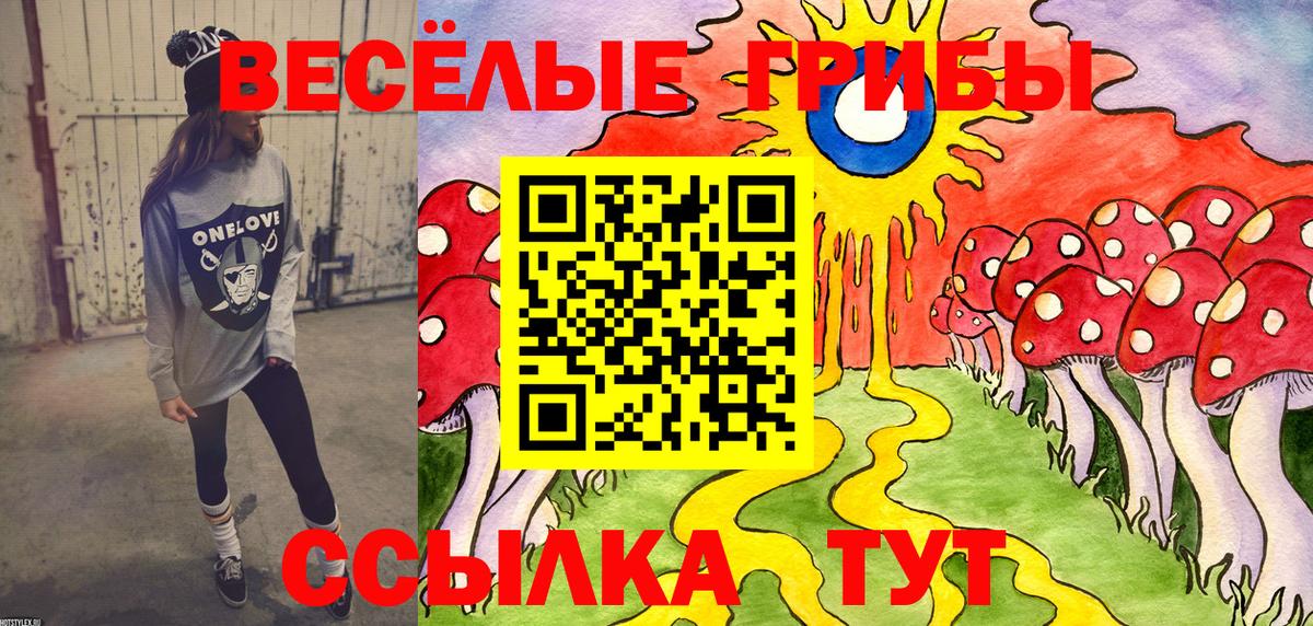 Галлюциногенные грибы мицелий  Псилоцибиновые грибы мухоморы  Вход с VPN  Черняховск 